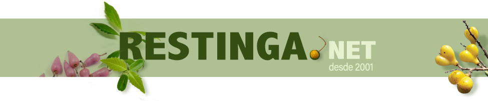 Logo Restinga